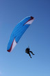 paraglider