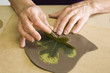 levantando la hoja, grabado