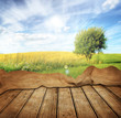 Old wooden table for Your photo montage
