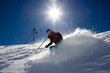 Sunny Woman Skier