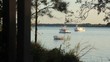 Boats on a calm morning  through trees at sunrise.