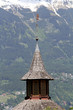 oesterreicher berge
