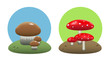 Edible and inedible mushrooms