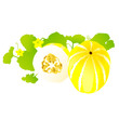 melon