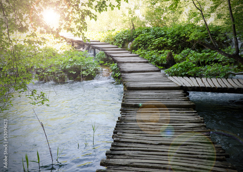 Photo: Wooden pathway Wooden pathway