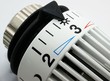 Temperaturregler