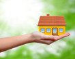 The house in hands on green natural backgorund