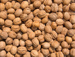 Photo: Walnüsse - Juglans regia Walnüsse - Juglans regia