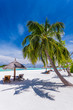 Deck chairs and palm trees on a tropical beach