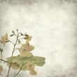 textured old paper background