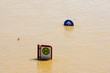 Road signs in water on Terassenufer in Dresden, 05.06.2013, Elbe