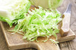 Photo: Cabbage Cabbage