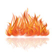 Fire on white background.