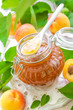 Apricot jam