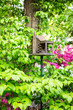 Birdhouse in the Garden