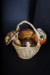 Cestino di funghi