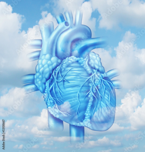 Illustration: Heart Health Heart Health