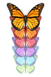 Spread Your Wings