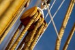 Sail
