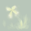 Clouded yellow / Beautiful fairytale butterfly in flowers