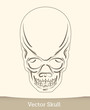 vector ink skull
