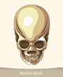 vector ink skull