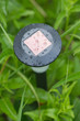 Decorative solar power lantern with drops on top in green grass