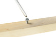 Screw and Screwdriver