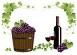 Trauben und Rotwein