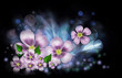 Flower fantasy