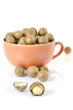 close up shelled  macadamia