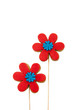Flower Gourmet Cookies