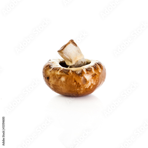 Photo: Fresh mushroom champignon isolated on white background . fresh Fresh mushroom champignon isolated on white background . fresh