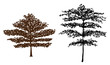 Tree silhouette