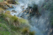 thermal spring in Waimangu volcanic valley