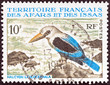Grey-headed Kingfisher bird (Afars and  Issas 1967) d