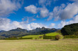 Coromandel Peninsula NZ mountain pasture scenery