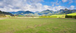 Coromandel Peninsula NZ mountain pasture scenery