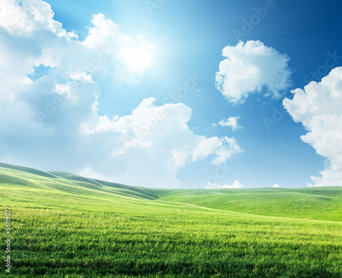 Photo: field of spring grass and sunny day field of spring grass and sunny day
