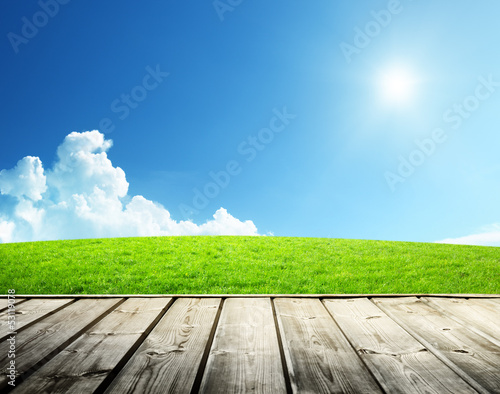 Photo: Green field and wood floor Green field and wood floor
