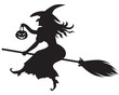 Witch on a broom