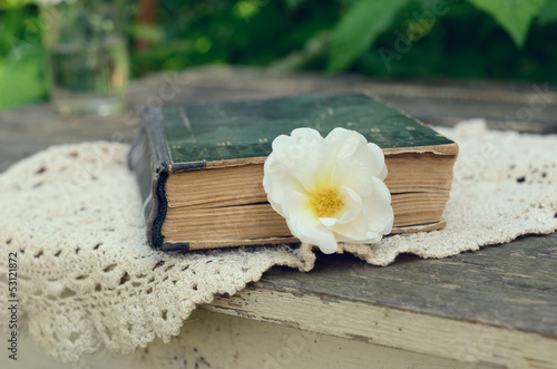 Photo: Old book and dog rose flower Old book and dog rose flower