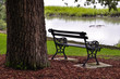 Iron Park Bench Under A Tree N...