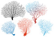 sea fan corals, vector set