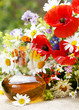 Homöopathische Kräuteressenz mit Wiesenblumenstrauß