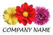 Flower logo