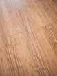 closeup the wood texture