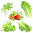 Collection of Lettuce and tomatoes isolated on white background