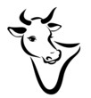 happy cow portrait