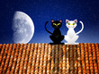 Cats On The Roof
